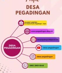 SALURAN PENGADUAN PEMERINTAH DESA PEGADINGAN