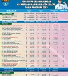INFOGRAFIS PERUBAHAN APBDES TAHUN ANGGARAN 2025
