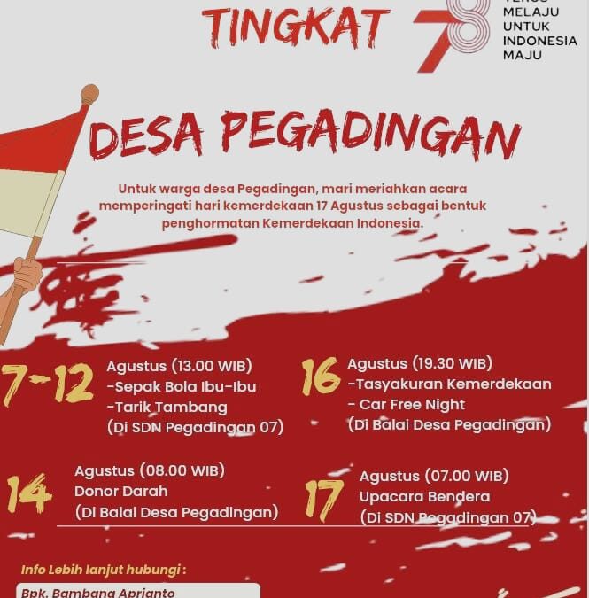 KEMERIAHAN MENYAMBUT HUT RI KE-78 TINGKAT DESA PEGADINGAN