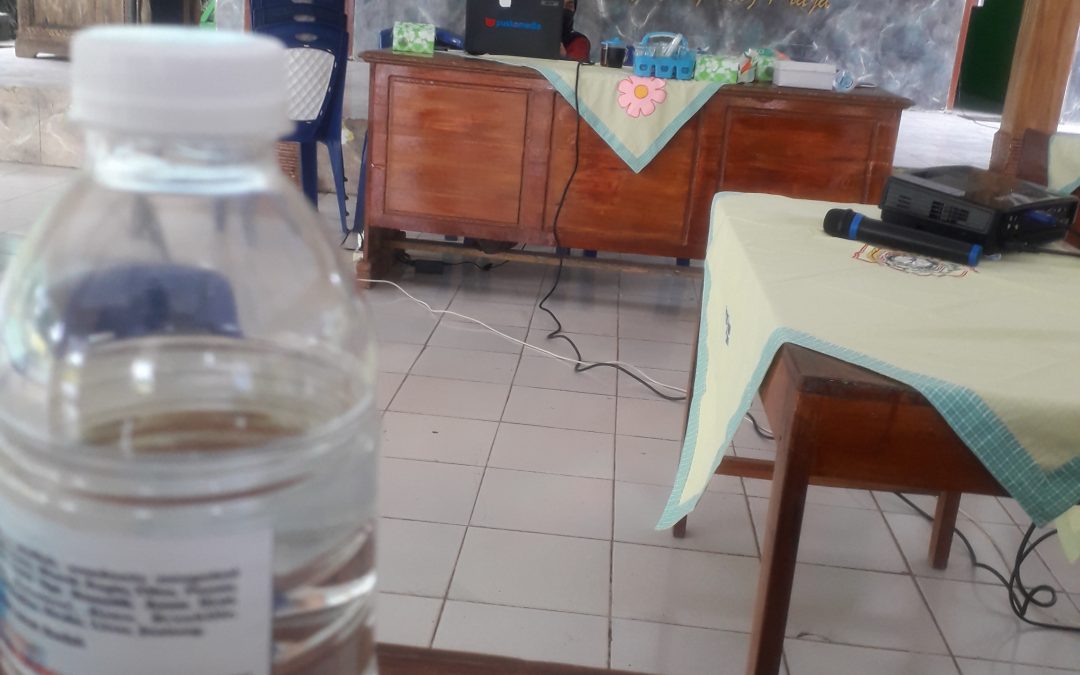 PELATIHAN INFORMASI DESA